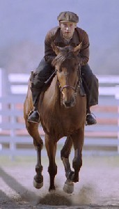 Duplo de «Seabiscuit» sacrificado...
