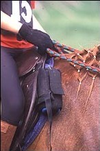 ENDURANCE – Terródromo de Arraiolos