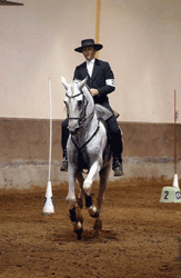 EQ.Trabalho - Reciclagem de Juízes e Formação