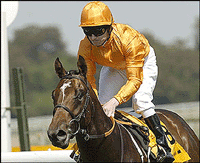 Estoril-Sol opõe-se ao lançamento de apostas