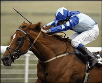 Presidente da Republica chumba apostas...