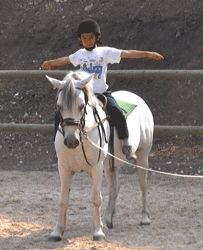 Inscrições abertas para programa «Férias Aventura a Galope»