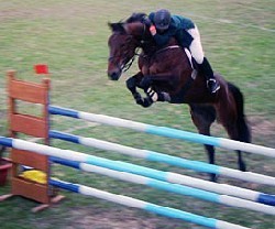 Triunfo de César Almeida no GP do CSI-W de Porto Alegre
