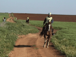 ENDURANCE: Cancelado o Campeonato Europeu