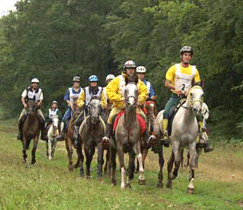Campeonato da Europa de Endurance 2005 em França