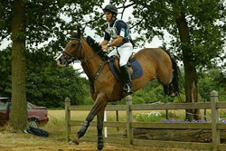 Duarte Seabra classificou-se entre os 25 melhores