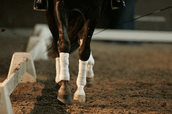 Triunfo de Imke Bartels no Freestyle