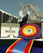 Kim Severson estrela no CCI**** Rolex Kentucky