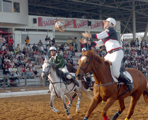 Campeonato Nacional de Horseball 2005