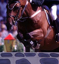 Theo Muff venceu o G.P. de Munique