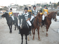 Proprietários das éguas pedem indemnização...