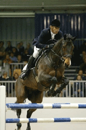 Triunfo de Nieberg no GP de Roterdão