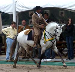 BRASIL: Top Agropecuária vencedora do 24º Festival do PSL