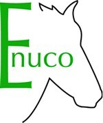 Conferência: Nutrição do Cavalo de Desporto – ENUCO