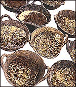 Alimentos Concentrados