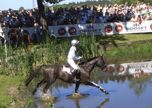 Bettina triunfa no CCI**** de Luhmühlen