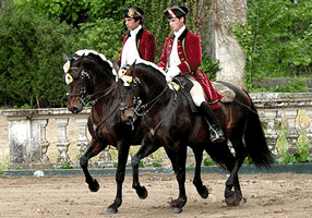 Arte equestre e a música do séc. XVIII