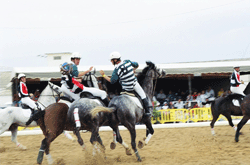 Horseball: Campeonato Nacional