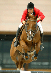 Leonardo Medal lesionado