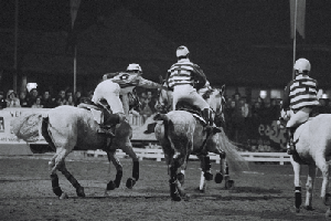 Nacional de Horseball de volta a Bucelas
