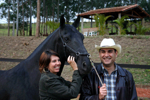Leilões Interagro: qualidade e transparência