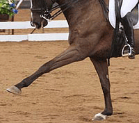 Mariette Whitages ministra seminário em Jerez