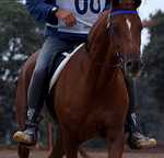 Portugal lança candidatura para o Cto da Europa