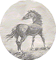 Quadros de José Guilherme na biblioteca de Vila Franca