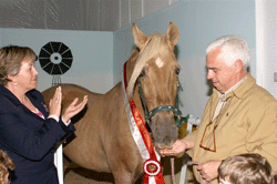 Morreu o famoso cavalo «Sultão»