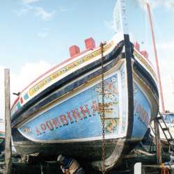 MOITA: As festas mais castiças a sul de Portugal