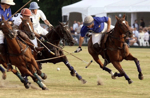 Holanda: Campeonato da Europa de Pólo