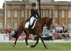 Betina Hoy venceu o ensino em Blenheim