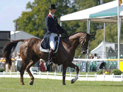 Burghley: Fox-Pitt na liderança
