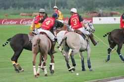 Ouro para a Itália no Europeu de Pólo