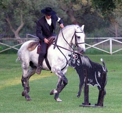 EQ.Trabalho: Portugal representado no Campeonato da Europa