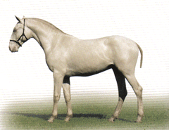 Festa americana do PSL