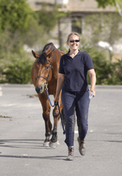 Como conduzir um cavalo pela mão