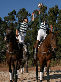 Mais duas vitórias para o Centro EQ João Cardiga