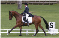 Karin Donckers faz a dobradinha em Pau