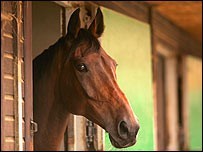 Paul Carberry vai montar Best Mate em Exeter