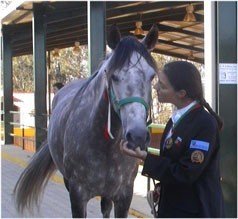 Sara Duarte «uma esperança» do ensino adaptado