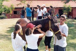 EQ: Adaptada: Curso de Pós-Graduação para Monitores 2005-2006