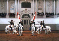 Escola Espanhola de Equitação em dificuldades