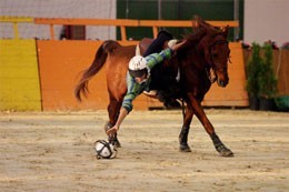 Horseball: Argentina acolhe o primeiro Campeonato do Mundo