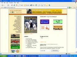 O «boom» das revistas e jornais online...