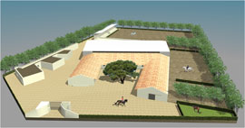 Centro Hípico Dom Duarte – Tradição e Inovação