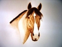 Ponte de Lima: Pintura Equestre de Maria Isabel Ferreira