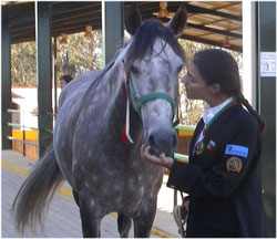 Equitação Adaptada: Sara Duarte mais um êxito