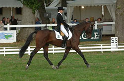 Nicolas Touzaint lidera em Lion d´Angers