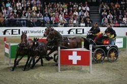 Michael Freund a winner in Stuttgart